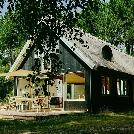 Experience Vibe Of Fredskov's Nature Tatil Evi *