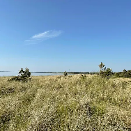 Feriehus Experience Vibe Of Fredskov's Nature Ornum