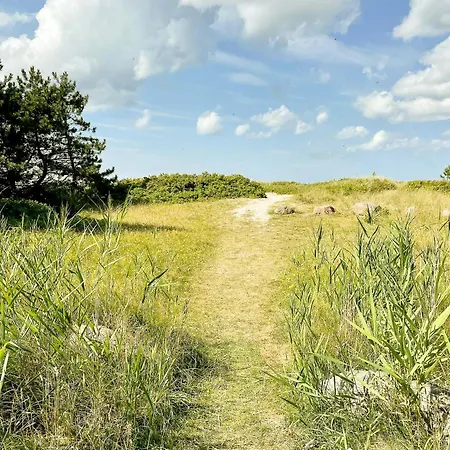 Feriehus Experience Vibe Of Fredskov's Nature