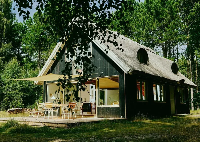 Experience Vibe Of Fredskov's Nature Feriehus *