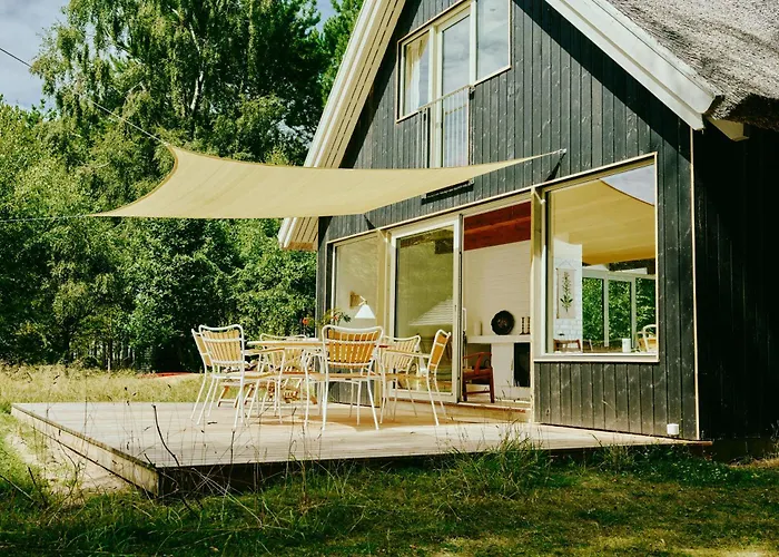 Experience Vibe Of Fredskov's Nature *