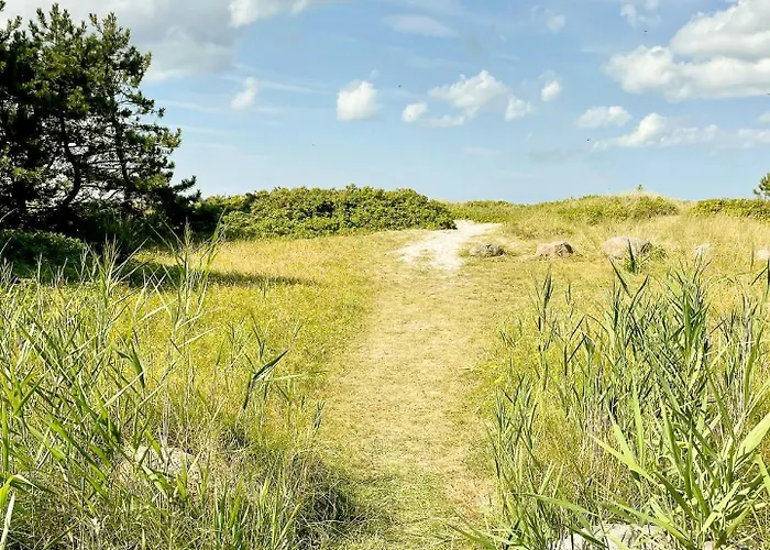 Feriehus Experience Vibe Of Fredskov's Nature